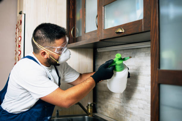 Professional Pest Control in Howe, TX
