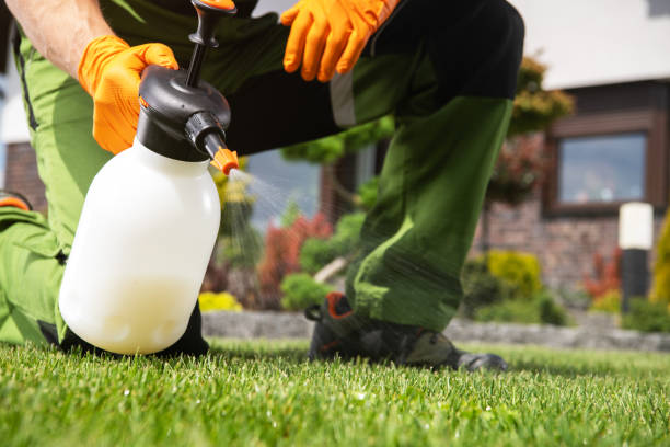 Best Pest Control for Businesses  in Howe, TX