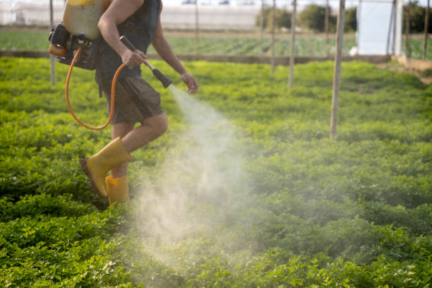Best Emergency Pest Control  in Howe, TX