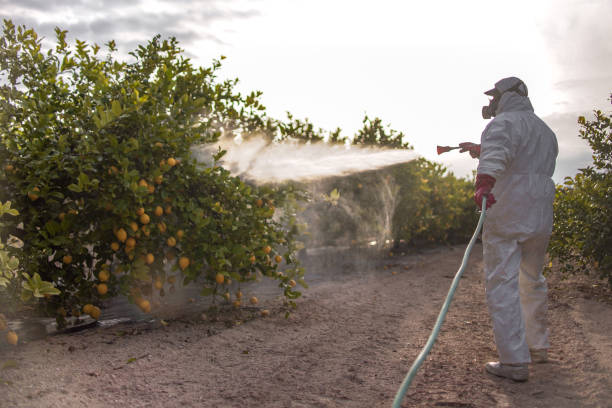 Pest Control Cost in Howe, TX