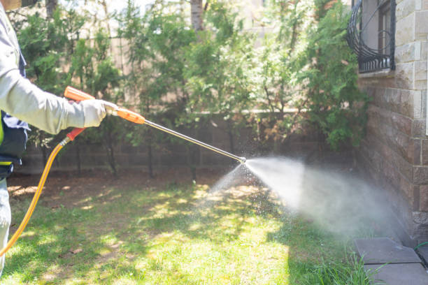 Best Best Pest Control Companies  in Howe, TX