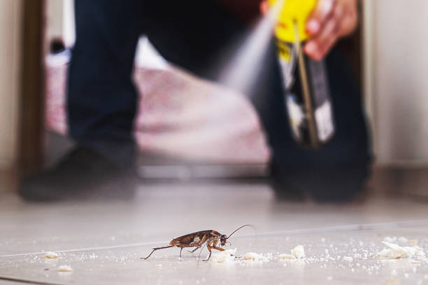 Best Mosquito Control Services  in Howe, TX